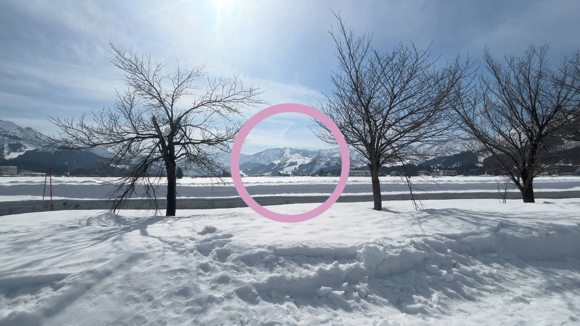 【軽バン車中泊20】魚沼産(北魚沼産?)と南魚沼産コシヒカリの食べ比べで道の駅南魚沼で車中泊