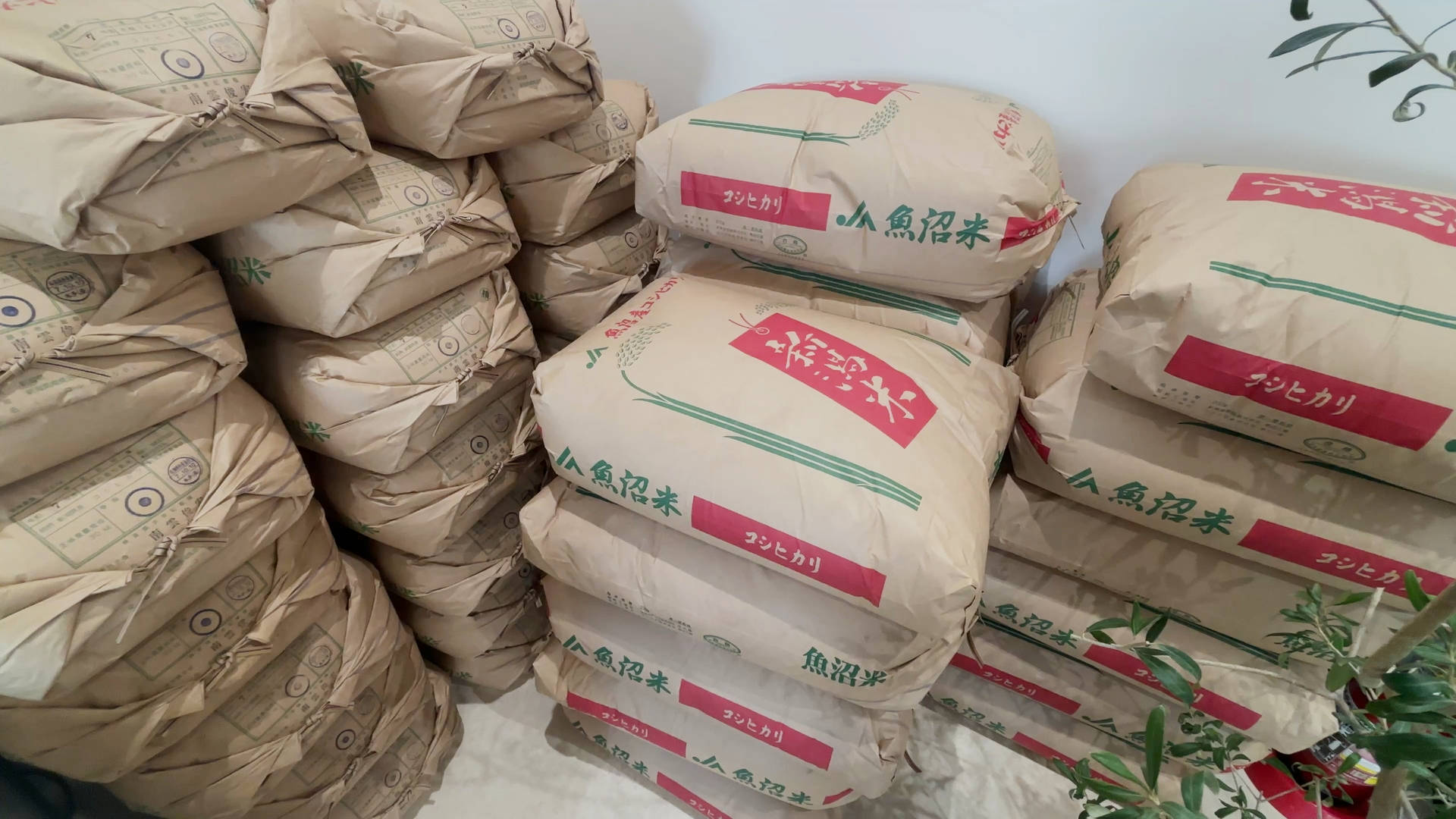 【軽バン車中泊20】魚沼産(北魚沼産?)と南魚沼産コシヒカリの食べ比べで道の駅南魚沼で車中泊