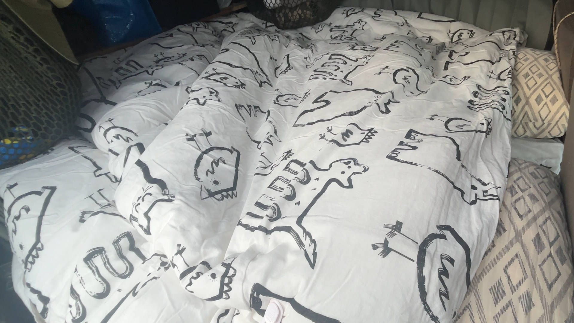 【軽バン車中泊20】魚沼産(北魚沼産?)と南魚沼産コシヒカリの食べ比べで道の駅南魚沼で車中泊