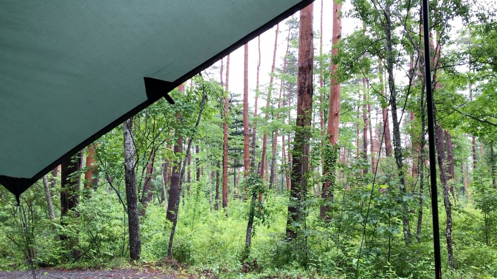 【軽バンキャンプ9-2】雨で空いてた&GREEN(アンドグリーン)キャンプ場で車中泊キャンプ(後編)