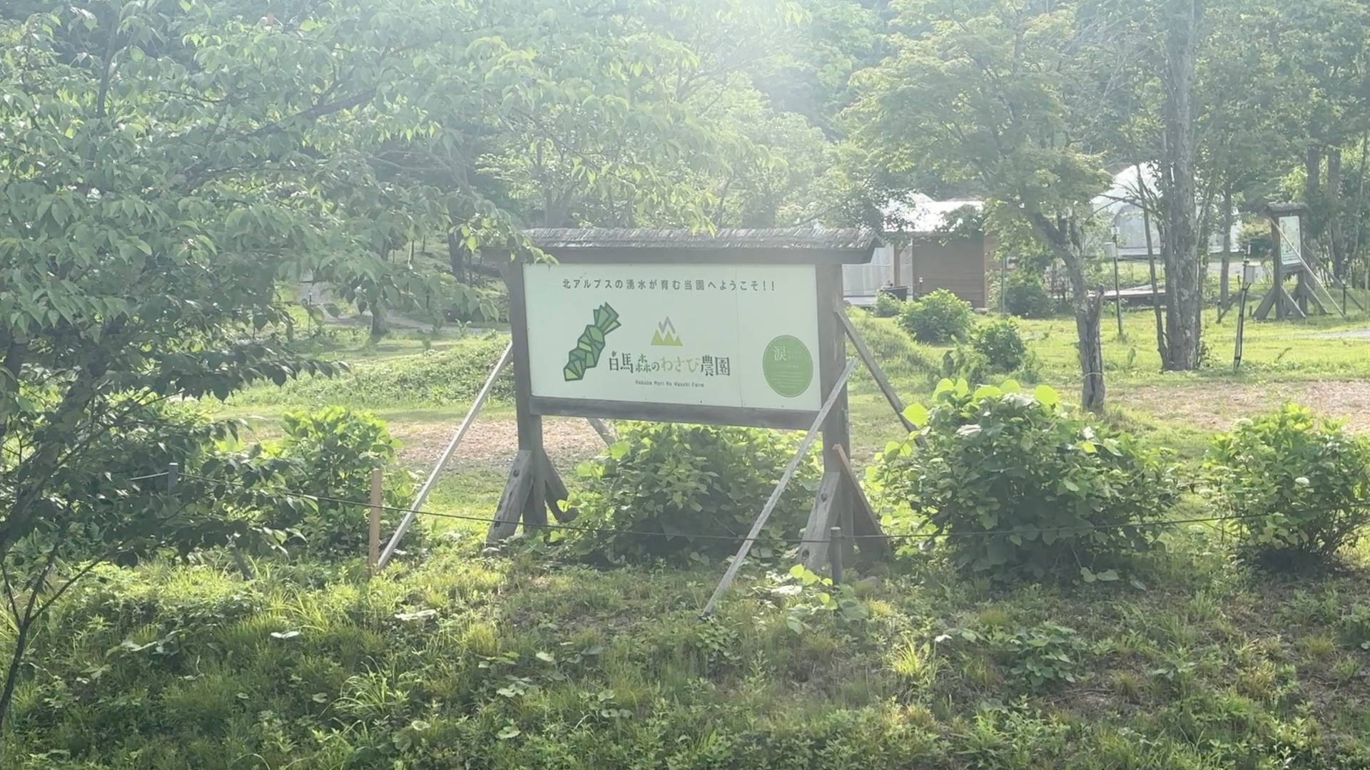 【軽バンキャンプ31】白馬森のわさび農園オートキャンプ場