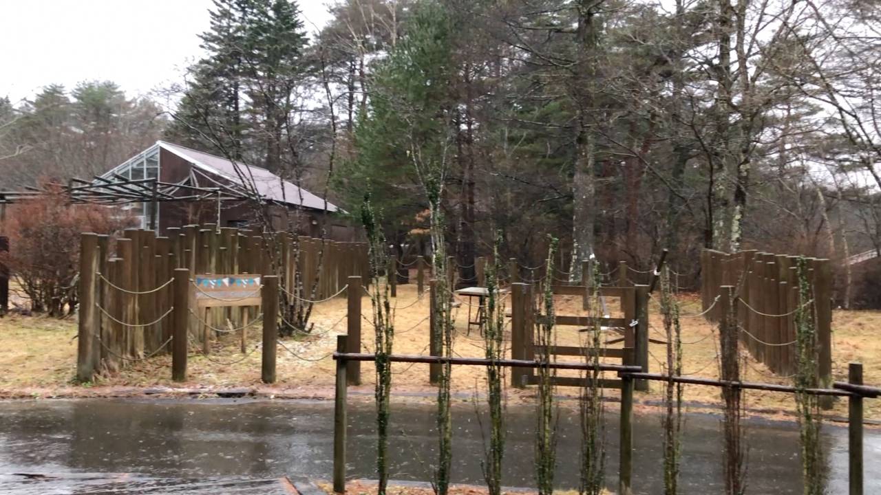 【軽バンキャンプ5の1】今年のキャンプ納めは山中湖でコテージ泊(前編)